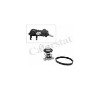 Thermostat d'eau CALORSTAT BY VERNET TH9283.88J