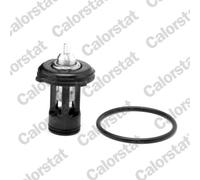 Thermostat d'eau CALORSTAT BY VERNET THK7271.87J