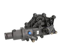 Thermostat d'eau COLORSTAT BY VERNET TH7159.83J