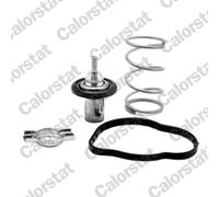 Thermostat d'eau COLORSTAT BY VERNET THK7276.83J