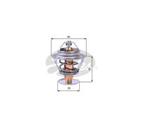 Thermostat d'eau GATES TH10489G1