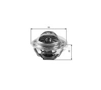 Thermostat d'eau GATES TH13783G1