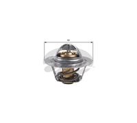 Thermostat d'eau GATES TH45975G1