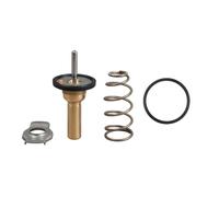 Thermostat d'eau GATES TH49990G1