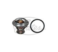 Thermostat d'eau GATES TH58392G1