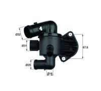 Behr Thermot-Tronik TI 33 87 Thermostat d'eau