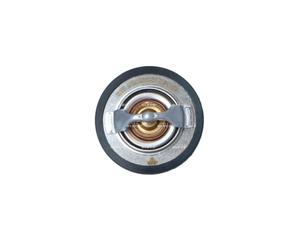Thermostat d'eau NRF 725205