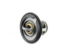 Thermostat d'eau TEKNÖR CTM-HD-001