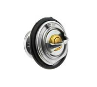 Thermostat d'eau TEKNÖR CTM-ME-008