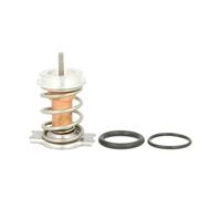 Thermostat d'eau THERMOTEC D28001TT