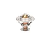 THERMOTEC D2CA003TT Thermostat d'eau