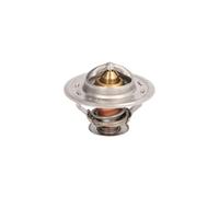 THERMOTEC D2CA004TT Thermostat d'eau