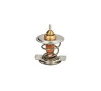 THERMOTEC D2CL001TT Thermostat d'eau