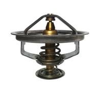 THERMOTEC D2CU003TT Thermostat d'eau