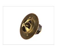 THERMOTEC D2DA003TT Thermostat d'eau