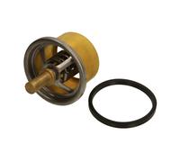 THERMOTEC D2DA004TT Thermostat d'eau