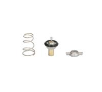 THERMOTEC D2F002TT Thermostat d'eau