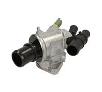 THERMOTEC D2F006TT Thermostat d'eau