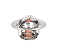THERMOTEC D2FO001TT Thermostat d'eau