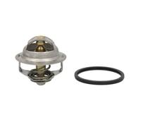THERMOTEC D2IV003TT Thermostat d'eau