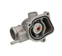 Thermostat d'eau THERMOTEC D2M008TT