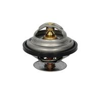 THERMOTEC D2ME002TT Thermostat d'eau