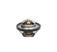 THERMOTEC D2R001TT Thermostat d'eau