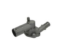 Thermostat d'eau THERMOTEC D2R005TT