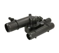 THERMOTEC D2R011TT Thermostat d'eau