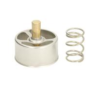 Thermostat d'eau THERMOTEC D2RV005TT