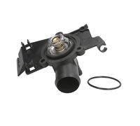 Thermostat d'eau THERMOTEC D2S002TT