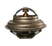 THERMOTEC D2UR005TT Thermostat d'eau