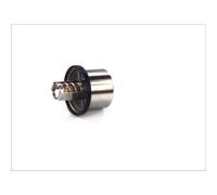 Thermostat d'eau THERMOTEC D2VO001TT