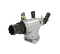 THERMOTEC D2X014TT Thermostat d'eau