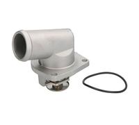 THERMOTEC D2X018TT Thermostat d'eau