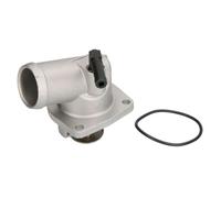 THERMOTEC D2X019TT Thermostat d'eau