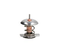 THERMOTEC D2Y002TT Thermostat d'eau