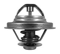 DAYCO DT1009V Thermostat d'eau