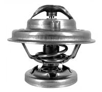 DAYCO DT1231V Thermostat d'eau