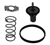DAYCO DT1281V Thermostat d'eau