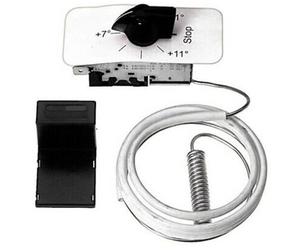Thermostat (Eis Bis +12°C)
