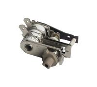 THERMOSTAT ET FUSIBLE pour PIECES ENTRETIEN DU LINGE PETIT ELECTROMENAGER MOULINEX - MS-0906727