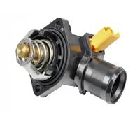 FAST FT58013 Thermostat d'eau