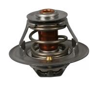 Thermostat FT58032 FAST pour RENAULT OPEL IVECO