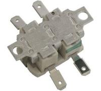 Thermostat + Fusible C40020/21/25/40/42 Pour Pieces Entretien Du Linge Petit Electromenager Astoria Csi - 500582930 G