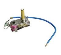 Thermostat+ Fusible Pour Pieces Entretien Du Linge Petit Electromenager Astoria Csi - 500583474 G