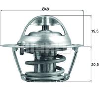 Thermostat, Kühlmittel