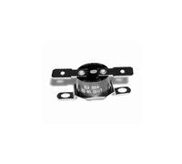 E.L.M. Leblanc – Thermostat limiteur 87167283500 – 120 °C