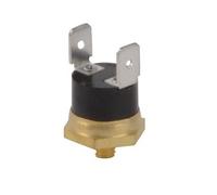 Bosch Pièce détachée TTNR 87229638580 – Limiteur de température