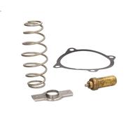 Thermostat, liquide de refroidissement MAHLE TX 51 79D pour STRALIS I 10.3 2002-